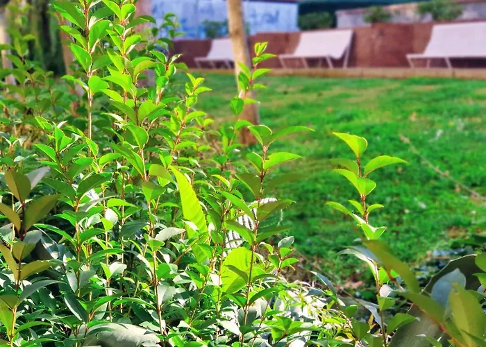 Mejores Vistas De Salamanca!!! Appartamento Salamanca